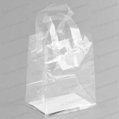 Natural Translucent Narrow Profile Plastic Produce Bag with More Matters Graphic